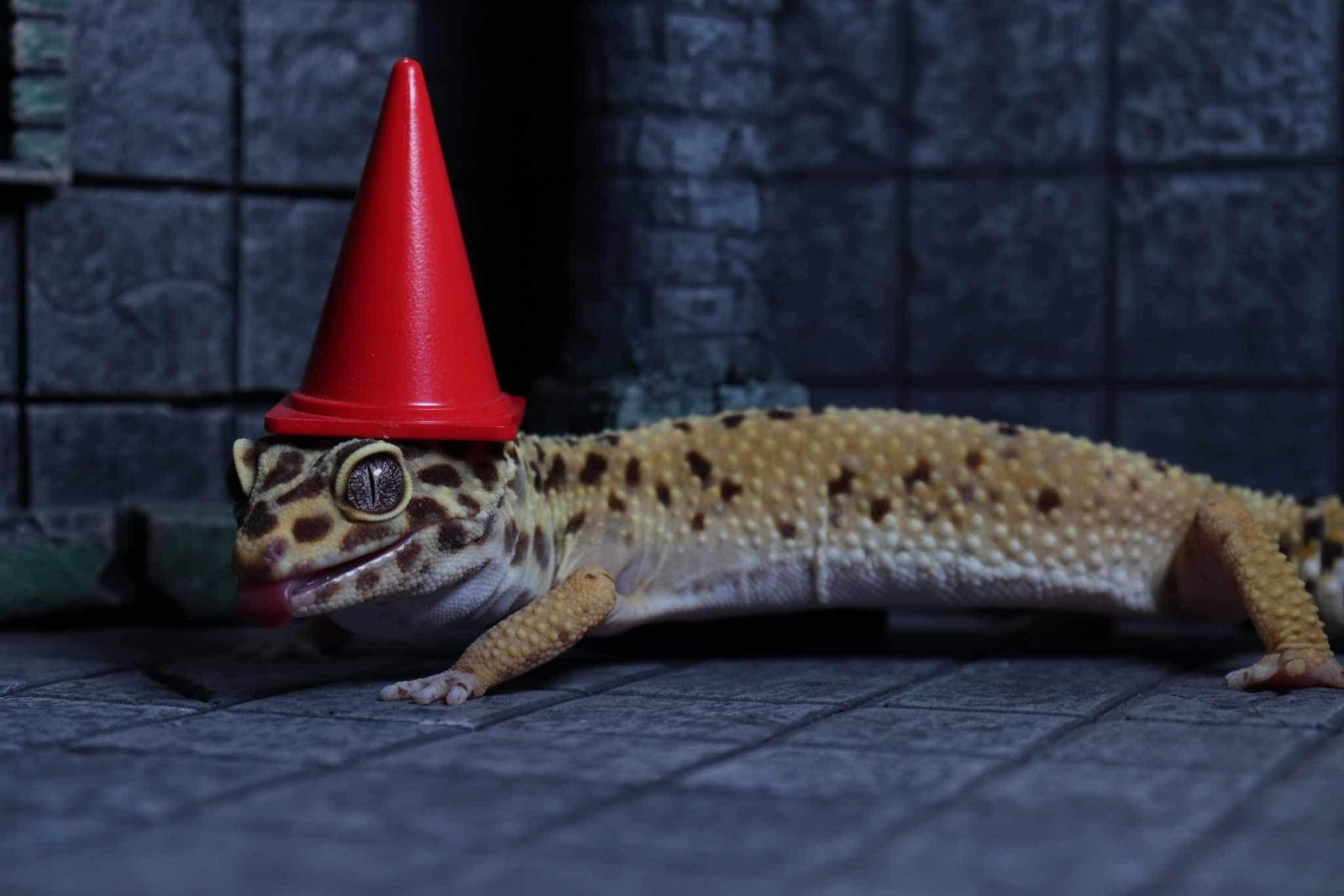 the leopard gecko Nugs wearing a traffic cone as a hat. he stands happily in a dungeon.